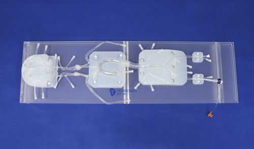 Endovaskulärer Simulator - SJ001D-010 - Trando 3D Medical Technology - Ausbildung / für neurovaskuläre Eingriffe / für Gefäßchirurgie