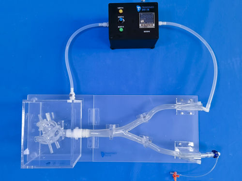 Trainingssimulator - XX013D - Trando 3D Medical Technology - zum Nähen von Wunden / für Gefäßchirurgie