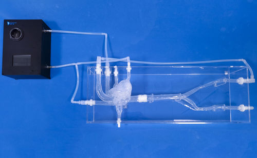 Herzgefäßmodell - XXS019 - Trando 3D Medical Technology - Gelenk / Blutgefäße / Arterie
