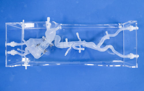 Herzgefäßmodell - XXD024 - Trando 3D Medical Technology - Blutgefäße / Arterie / Arteria femoralis