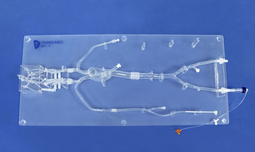 Intrakranieller anatomisches Modell - SJ001D-09 - Trando 3D Medical Technology - Kopf / Arterie / Arteria femoralis