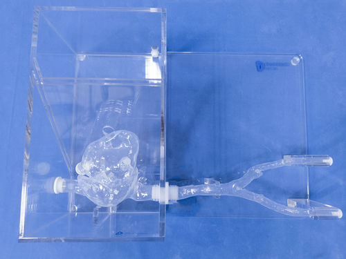 Anatomisches Herzmodell - XXS017 - Trando 3D Medical Technology - für minimalinvasive Chirurgie / Ausbildung / flexibel