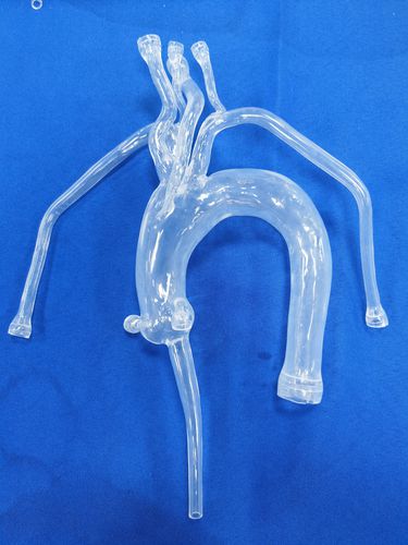 Anatomisches Modell / Herz - Trando 3D Medical Technology