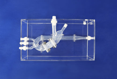 Anatomisches Modell / Herz - XXD015 - Trando 3D Medical Technology - Thorax / für minimalinvasive Chirurgie / Ausbildung