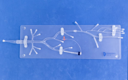 Anatomisches Modell / Arterie - Trando 3D Medical Technology