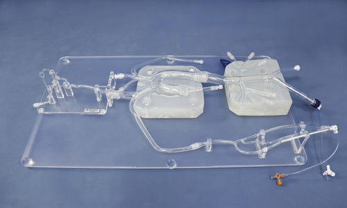 Anatomisches Modell / Arterie - SJ001D-05 - Trando 3D Medical Technology - Arteria femoralis / Arteria carotis / Bauch