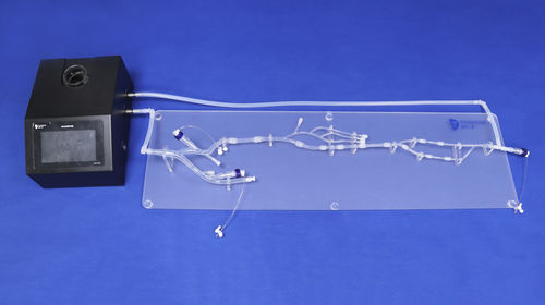 Anatomisches Modell / untere Extremitäten - XXD003 - Trando 3D Medical Technology - für minimalinvasive Chirurgie / Ausbildung / flexibel