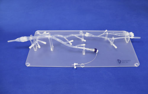 Anatomisches Modell / untere Extremitäten - XZS001-1 - Trando 3D Medical Technology - für minimalinvasive Chirurgie / Ausbildung / transparent