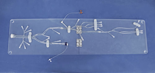 Anatomisches Modell / untere Extremitäten - XXD007 - Trando 3D Medical Technology - für minimalinvasive Chirurgie / Ausbildung / transparent