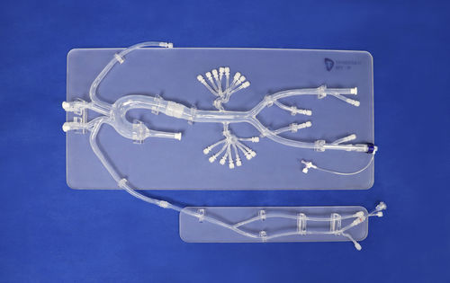Anatomisches Modell / Bauch - FBD005 - Trando 3D Medical Technology - für minimalinvasive Chirurgie / Ausbildung / transparent
