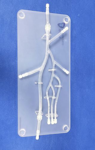 Anatomisches Modell / Bein - XXD006 - Trando 3D Medical Technology - untere Extremitäten / für minimalinvasive Chirurgie / Ausbildung