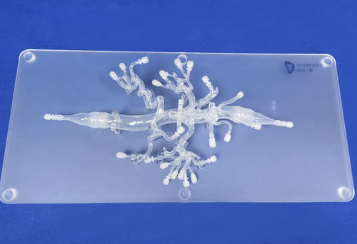 Anatomisches Modell / Arterie - FBD019 - Trando 3D Medical Technology - Bauch / für minimalinvasive Chirurgie / Ausbildung