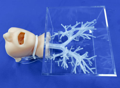 Trainingssimulator - Trando 3D Medical Technology