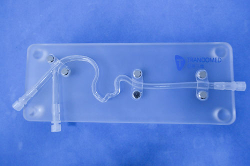 Anatomisches Modell / Arteria carotis - SJJ003D - Trando 3D Medical Technology - Ausbildung / Thrombektomie / Stenose