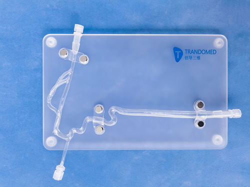 Anatomisches Modell / Arterie - SJJ004D - Trando 3D Medical Technology - Arteria carotis / Blutgefäße / für Neurochirurgie