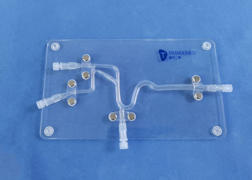 Blutgefäße-Gefäßmodell - SJJ007D - Trando 3D Medical Technology - Gehirn / Intrakranieller / für Neurochirurgie