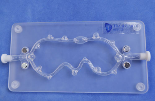 Anatomisches Modell / Arterie - SJX006 - Trando 3D Medical Technology - Blutgefäße / Ausbildung / mit Aneurysmen