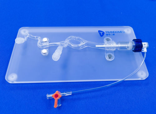 Blutgefäße-Gefäßmodell - SDL004-1 - Trando 3D Medical Technology - Intrakranieller / für Gefäßchirurgie / Ausbildung