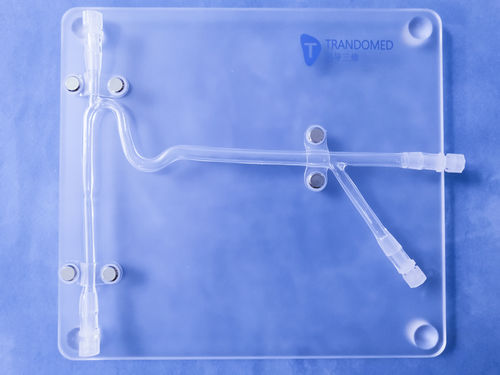 Gefäßmodell / Arteria carotis - Trando 3D Medical Technology - Blutgefäße / für Neurochirurgie / Ausbildung