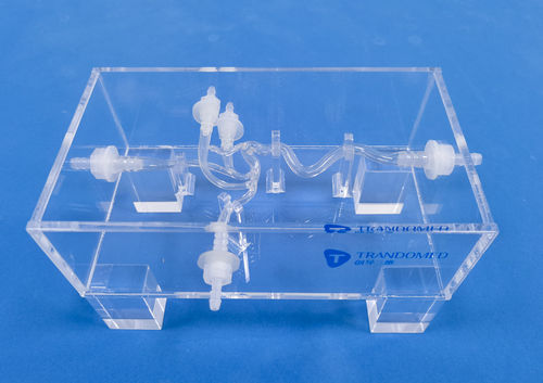 Blutgefäße-Gefäßmodell - SDL006 - Trando 3D Medical Technology - Gehirn / Intrakranieller / für Gefäßchirurgie