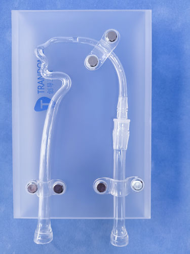 Blutgefäße-Gefäßmodell - JYX001-2 - Trando 3D Medical Technology - Gehirn / Intrakranieller / für Neurochirurgie