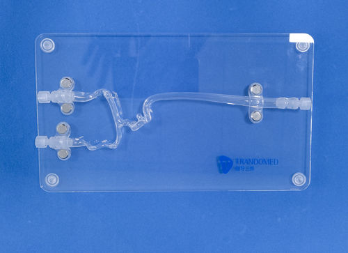 Blutgefäße-Gefäßmodell - JYX001-3 - Trando 3D Medical Technology - Gehirn / Intrakranieller / für Neurochirurgie