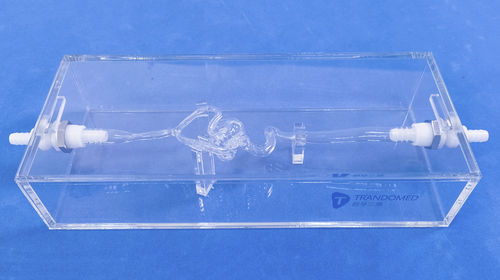 Blutgefäße-Gefäßmodell - SJK003D - Trando 3D Medical Technology - Intrakranieller / Ausbildung / transparent