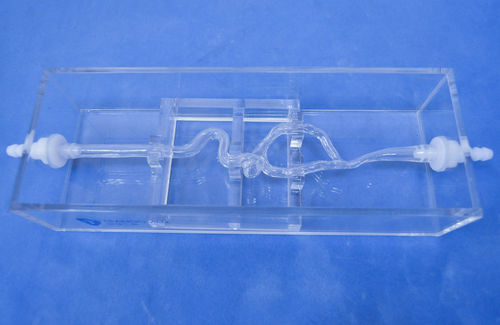 Arterie-Gefäßmodell - SJK004D - Trando 3D Medical Technology - Blutgefäße / Ausbildung / transparent