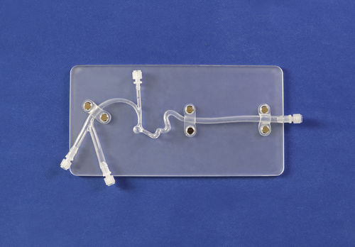 Blutgefäße-Gefäßmodell - Trando 3D Medical Technology - Gehirn / Intrakranieller / für Neurochirurgie