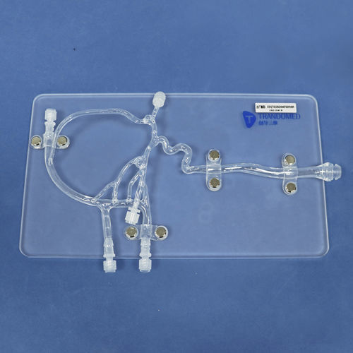 Intrakranieller anatomisches Modell - Trando 3D Medical Technology - Blutgefäße / Ausbildung / mit Aneurysmen