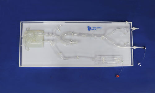 Intrakranieller Gefäßmodell - SJX012 - Trando 3D Medical Technology - Blutgefäße / Ganzkörper / für minimalinvasive Chirurgie