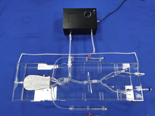 Gefäßmodell für Neurologie - SJX013 - Trando 3D Medical Technology - Intrakranieller / Blutgefäße / für minimalinvasive Chirurgie