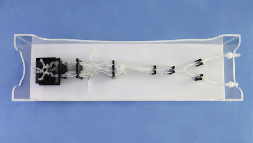 Gefäßmodell für Neurologie - SJX014 - Trando 3D Medical Technology - Intrakranieller / Blutgefäße / Arteria femoralis