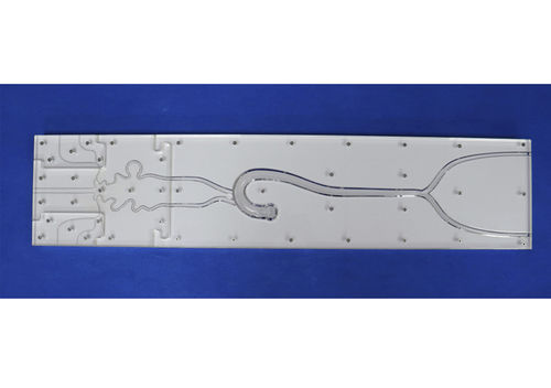 Intrakranieller anatomisches Modell - SJX003 - Trando 3D Medical Technology - für minimalinvasive Chirurgie / Ausbildung / transparent