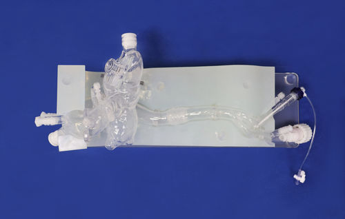 Herzgefäßmodell - XXD013 - Trando 3D Medical Technology - Blutgefäße / für minimalinvasive Chirurgie / Ausbildung