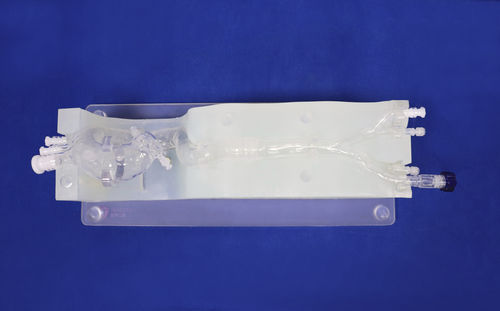 Herzgefäßmodell - XXD014 - Trando 3D Medical Technology - Blutgefäße / für minimalinvasive Chirurgie / für die Ausbildung