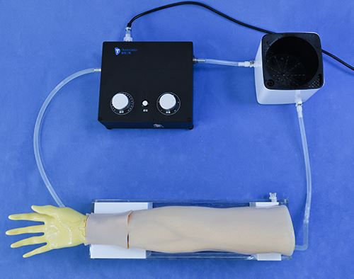 Trainingssimulator - RC011 - Trando 3D Medical Technology - für Punktionen / für perkutane Koronarinterventon / Chirurgie