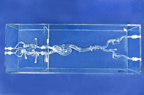 Intrakranieller Gefäßmodell - SJX006-3 - Trando 3D Medical Technology - Blutgefäße / für minimalinvasive Chirurgie / Ausbildung
