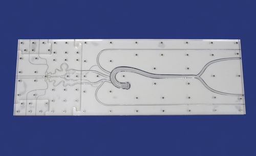 Intrakranieller anatomisches Modell - SJX002 - Trando 3D Medical Technology - Ausbildung / transparent / flexibel