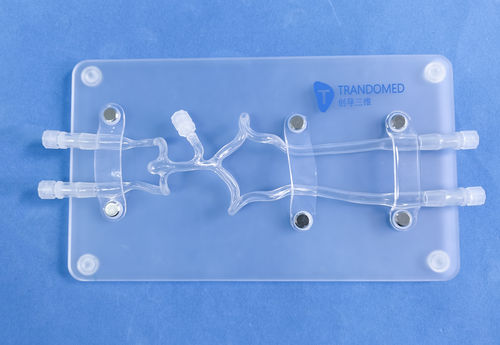 Anatomisches Modell / Arterie - SJK009D - Trando 3D Medical Technology - Gehirn / Nerv / Blutgefäße