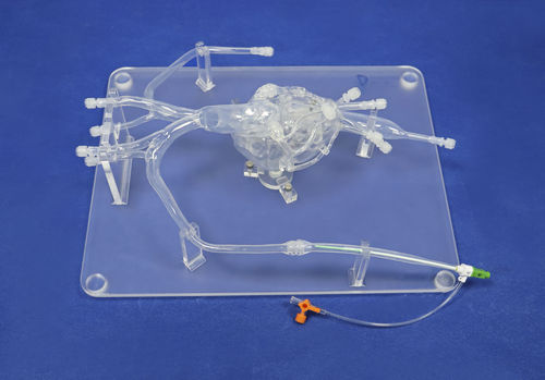 Gefäßmodell / Arteria femoralis - XXD010 - Trando 3D Medical Technology - Koronararterien / Aorta abdominalis / Arteria iliaca