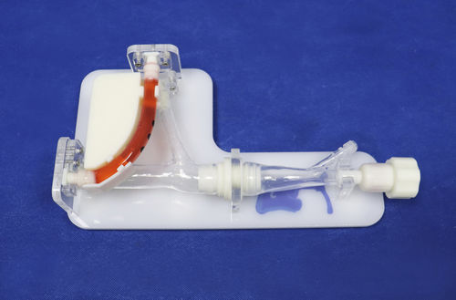 Blutgefäße-Gefäßmodell - Trando 3D Medical Technology