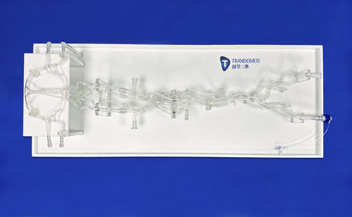 Arterie-Gefäßmodell - SJ001D-016 - Trando 3D Medical Technology - Blutgefäße / Abdomen / Ausbildung