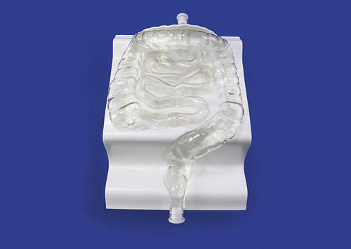 Blutgefäße-Gefäßmodell - CM001 - Trando 3D Medical Technology - Ausbildung / transparent / flexibel