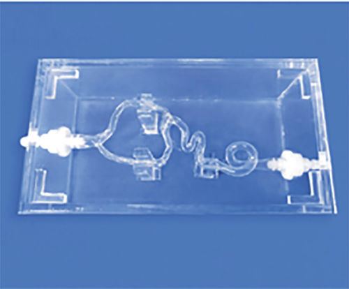 Arterie-Gefäßmodell - SJJ001D-01 - Trando 3D Medical Technology - Blutgefäße / Ausbildung / transparent