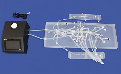 Gefäßmodell / Arteria femoralis - FBD024 - Trando 3D Medical Technology - für Radialarterie / Arteria iliaca / Aorta abdominalis