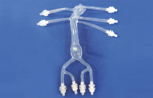 Bauch-Gefäßmodell - FBD027 - Trando 3D Medical Technology - Blutgefäße / Ausbildung / transparent