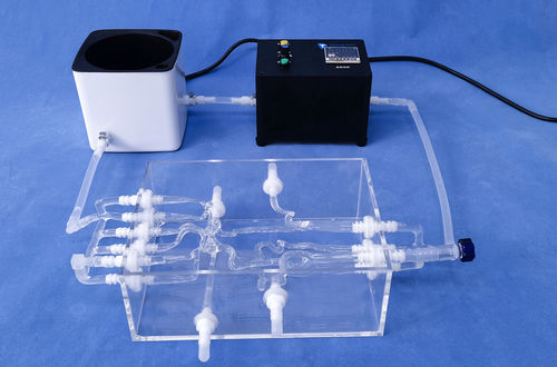 Blutgefäße-Gefäßmodell - Trando 3D Medical Technology
