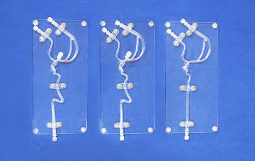 Anatomisches Modell / Arteria carotis - SJX005 - Trando 3D Medical Technology - Blutgefäße / für minimalinvasive Chirurgie / für Neurochirurgie
