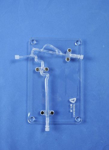 Anatomisches Modell / Arterie - SJJ004D - Trando 3D Medical Technology - Arteria carotis / Blutgefäße / für Neurochirurgie